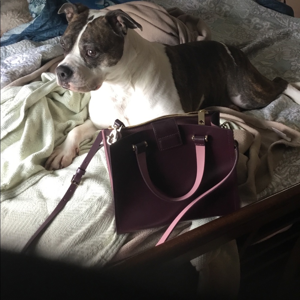 Kate spade purse